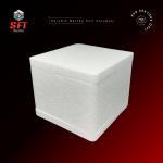 Seramik Matcha Seti Koruması