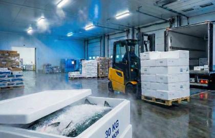 Su Ürünleri ve İhracat (Balık Kutusu)