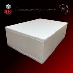 Armatür Koruması V5