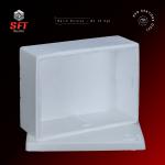 Balık Kutusu – B1 (5 Kg)