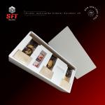 Armatür Koruması V6