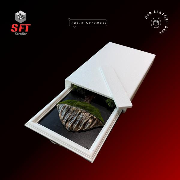 Tablo Koruması